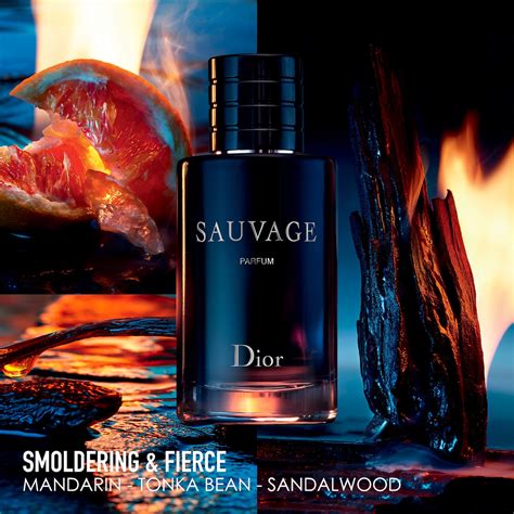 dior sauvage 924|Sauvage Dior cologne .